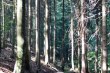 DSC_1515