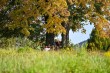 45_powsinogi_79102022-167