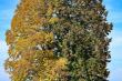 45_powsinogi_79102022-169