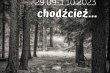 46_powsinogi_beskidzkie_02102023-174