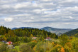47_powsinogi_1113102024-223