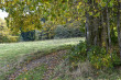 47_powsinogi_1113102024-224