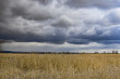 36_rajd_wiosenny_31_02042023-223