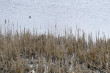 36_rajd_wiosenny_31_02042023-235