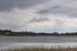 36_rajd_wiosenny_31_02042023-240