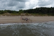 DCIM\100MEDIA\DJI_0039.JPG